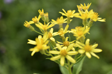 Similar image 21341283