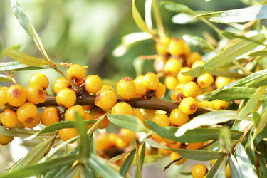 Similar image 21341285