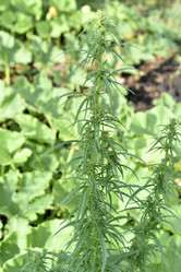 Similar image 21341303