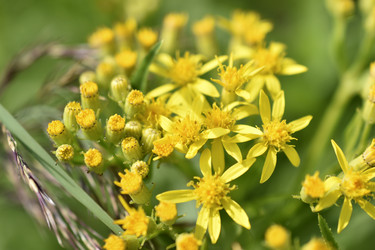 Similar image 21341305