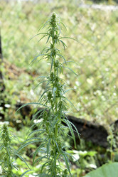 Similar image 21341323