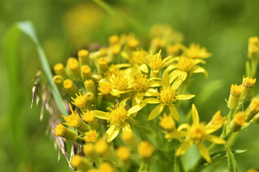 Similar image 21341325