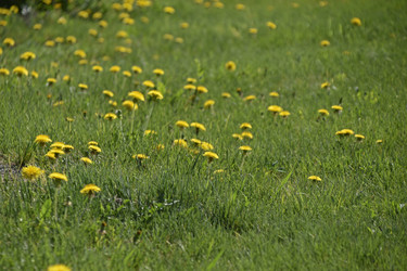 Similar image 21299964