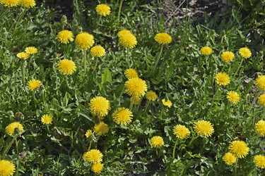 Similar image 21308778