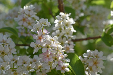 Similar image 21308797