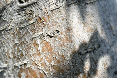 Similar image 21308817