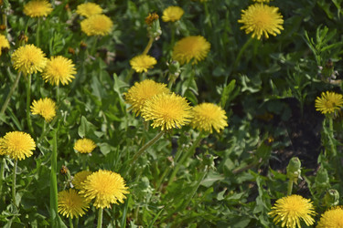 Similar image 21308818