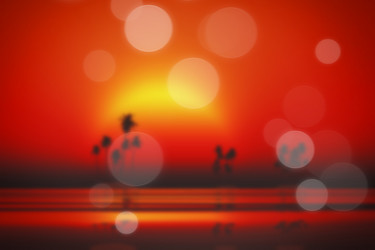 Similar image 21322235