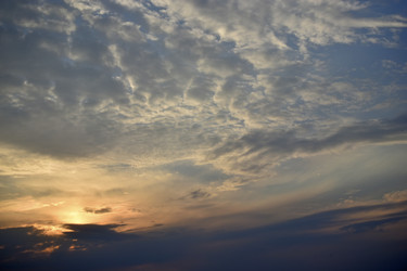 Similar image 21308799