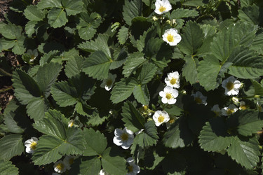 Similar image 21318832