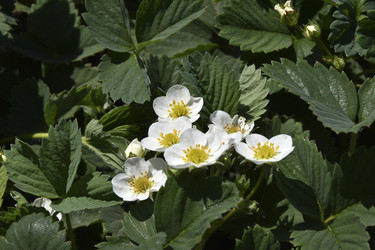 Similar image 21318834