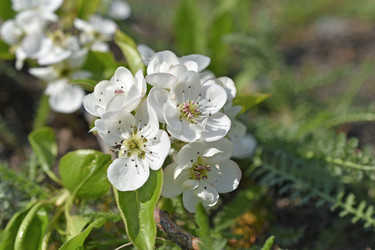 Similar image 21339281