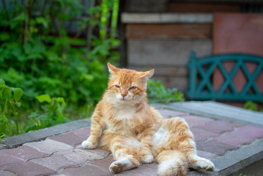 Similar image 21299771