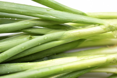 Similar image 21299967