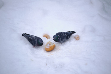 Similar image 21299782