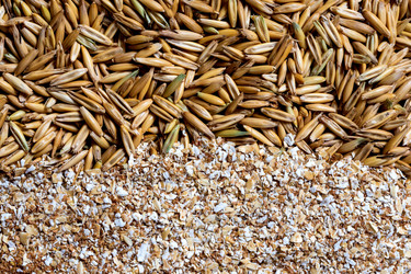 Similar image 21299791