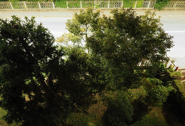 Similar image 21303238