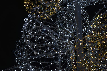 Similar image 21299970