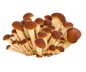 Similar image 21317192