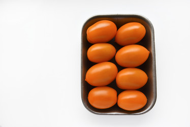 Similar image 21308804