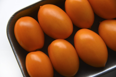 Similar image 21308824