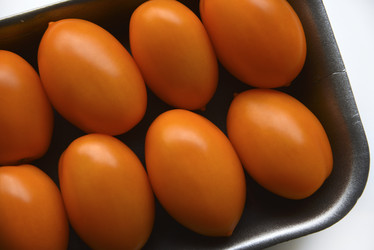 Similar image 21308825