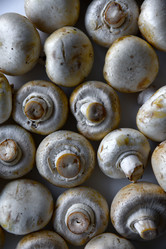 Similar image 21341306