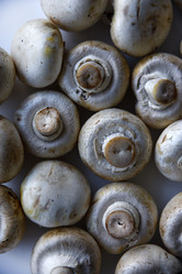 Similar image 21341327