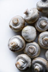 Similar image 21341328