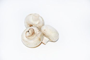 Similar image 21339391