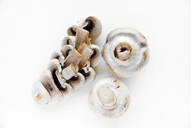 Similar image 21339393