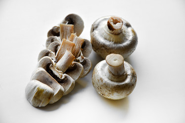 Similar image 21339394