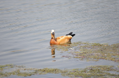 Similar image 21308857