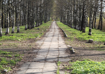 Similar image 21314971