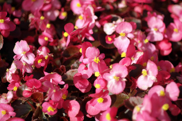 Similar image 21318738