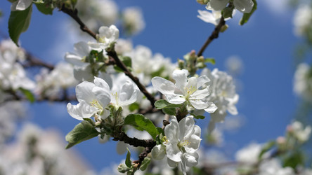 Similar image 21299951