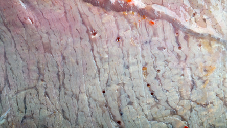 Similar image 21299955