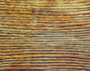 Similar image 21308869