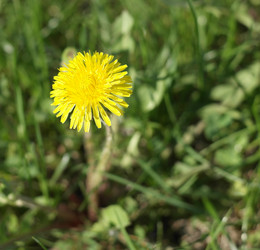 Similar image 21308871