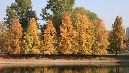 Similar image 21314994