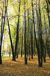 Similar image 21314996