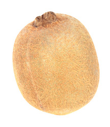 Similar image 21318748