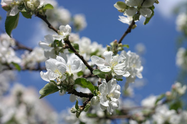 Similar image 21318767