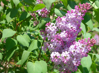 Similar image 21318769