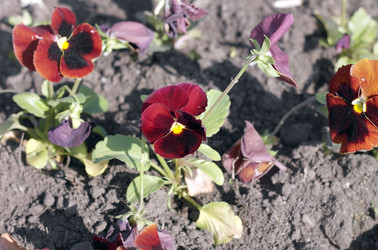 Similar image 21318770