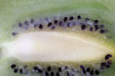 Similar image 21318775