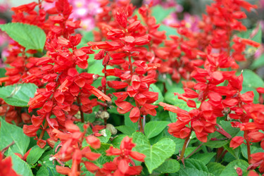 Similar image 21318783