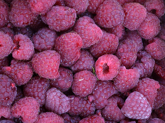 Similar image 21315008