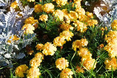 Similar image 21315014