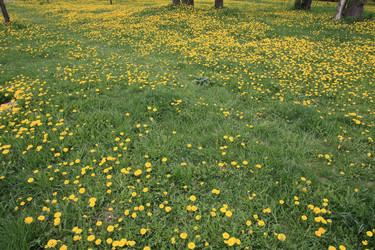 Similar image 21315021